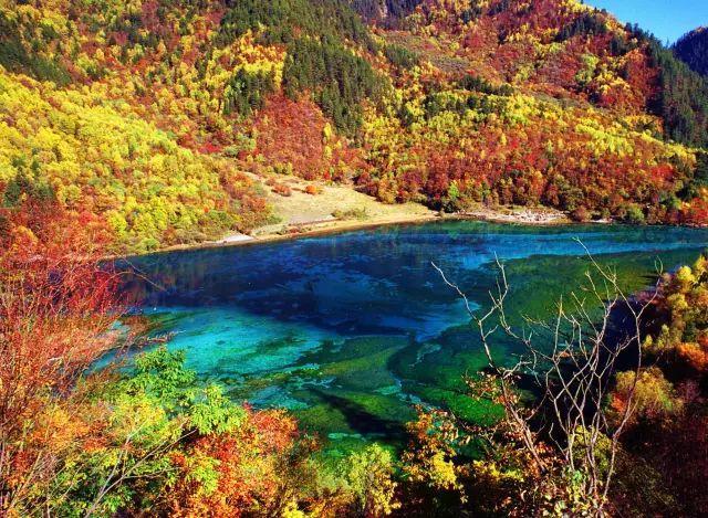 恭喜！四川这2所大学，在“双一流”的考核中，取得了优异的成绩