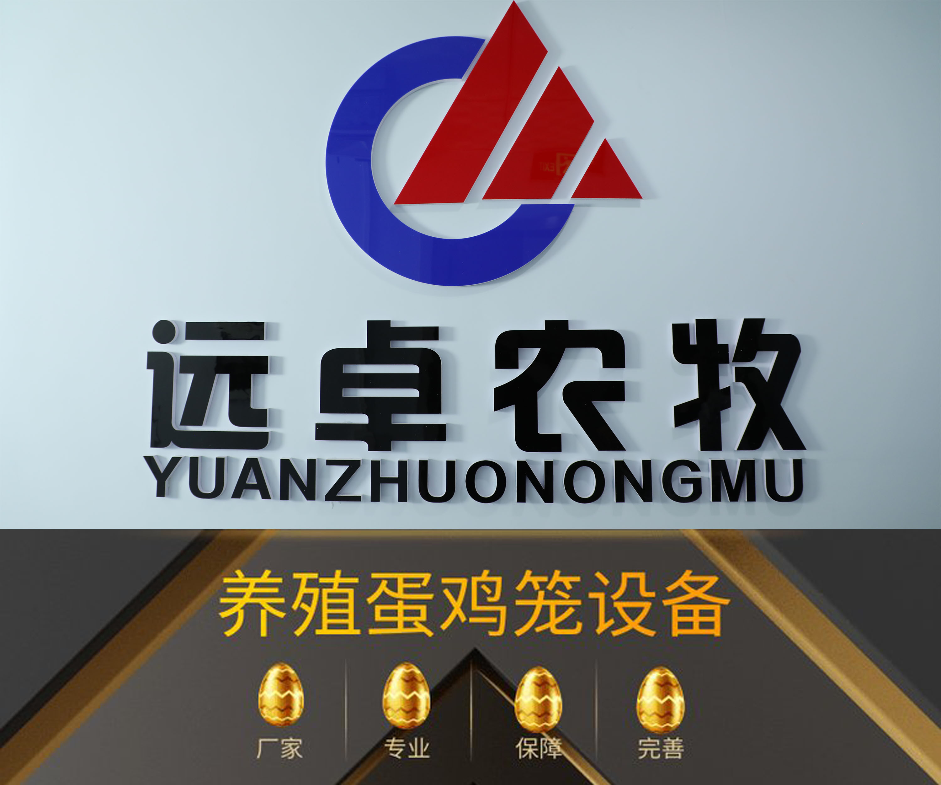夏季高溫季節(jié)蛋雞養(yǎng)殖環(huán)節(jié)，遠(yuǎn)卓農(nóng)牧為您解析魚(yú)肝油的應(yīng)用
