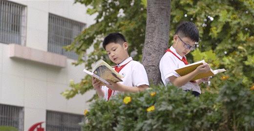 信阳市第三小学宣传片出炉：至真而行(图12)