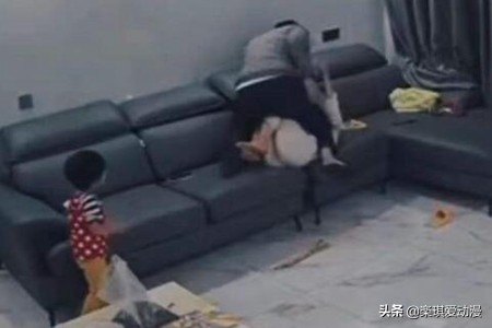 如果被家暴，你会怎么做？