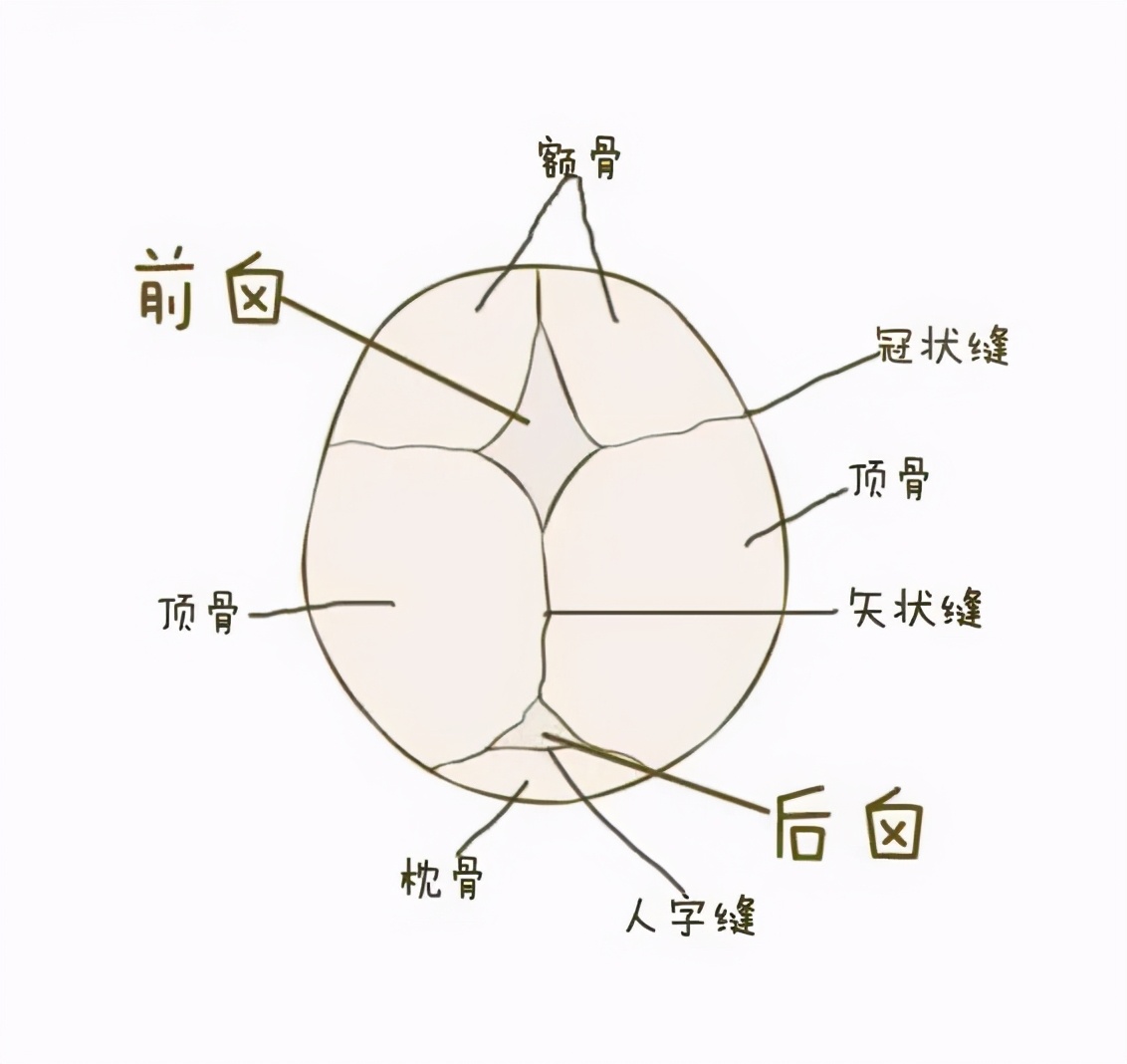 宝宝出现的舟状头是怎么回事？舟状头可以睡出来？医生给你答案