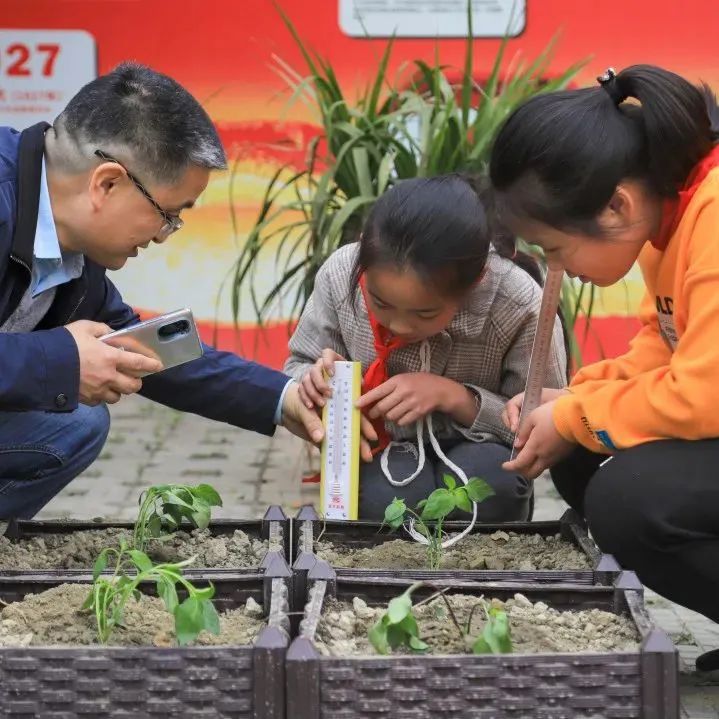 与你分享，我在四川天府新区南湖小学的精彩校园生活