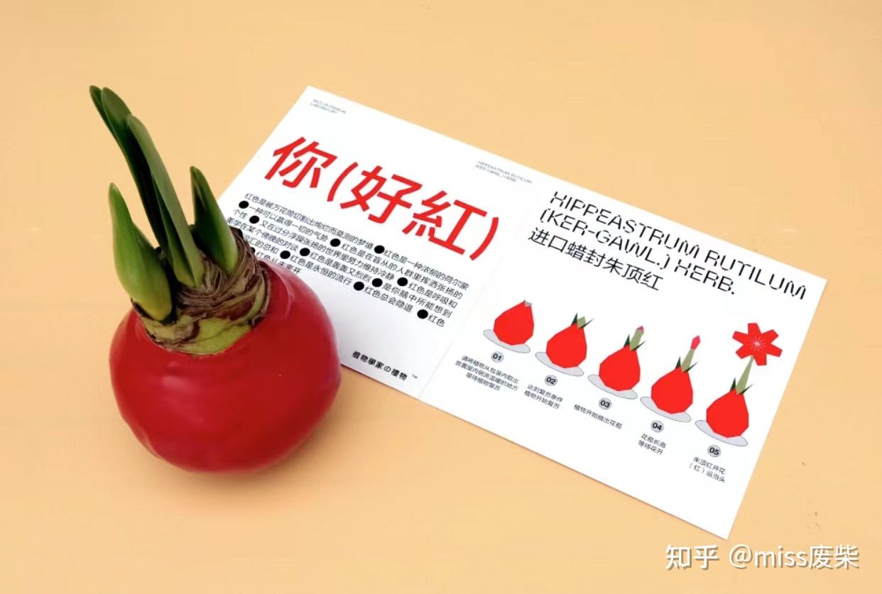 贫民窟女孩春节送礼怎么选？¥100～300不贵又拿得出手的礼物