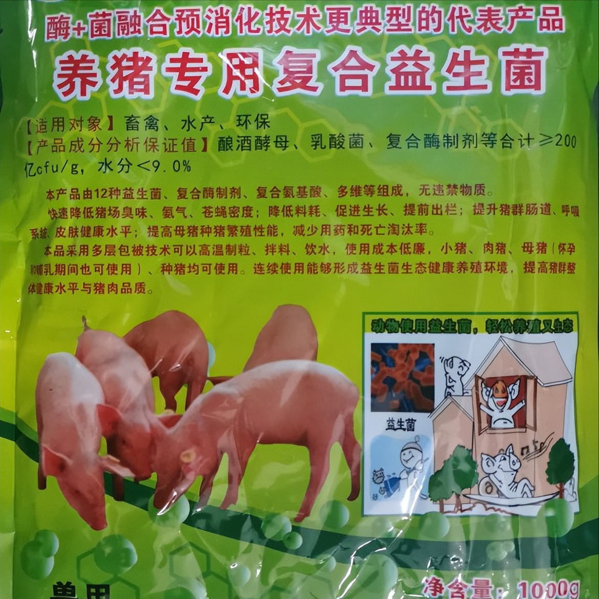 怎么把受猪场尿粪污染的鱼塘净化重新养鱼？广东这位老板告诉你