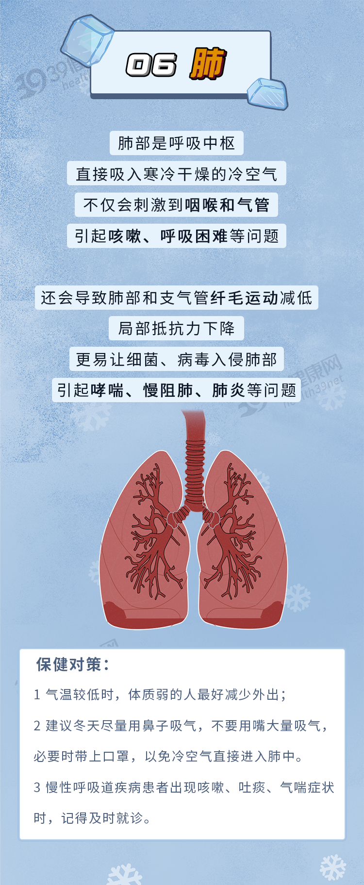 冬日轻进补，健康巧养生，多吃7种平价养生食材，祛湿健脾好过冬