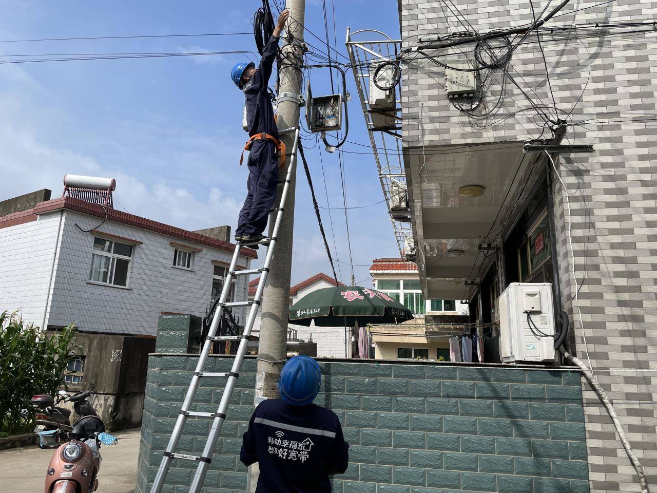 “宜岱移路”党建红 照亮海岛共富路——舟山移动岱山分公司党支部工作纪实