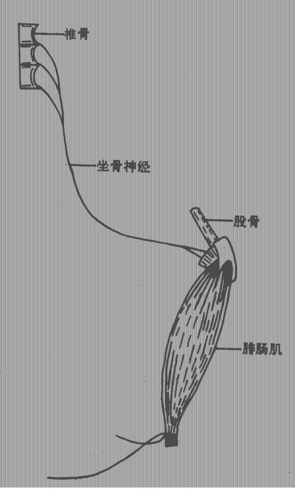 行尸走肉？广东“钓鱼佬”发现无头鱼，没脑袋还游动！究竟为何？