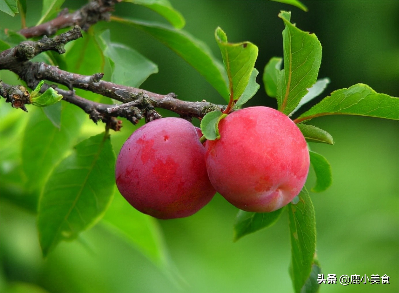 送礼不能送什么（送礼讲究吗有什么不能送的）