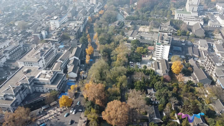红园片区冲刺推进 老花鸟市场“变身”文旅街区
