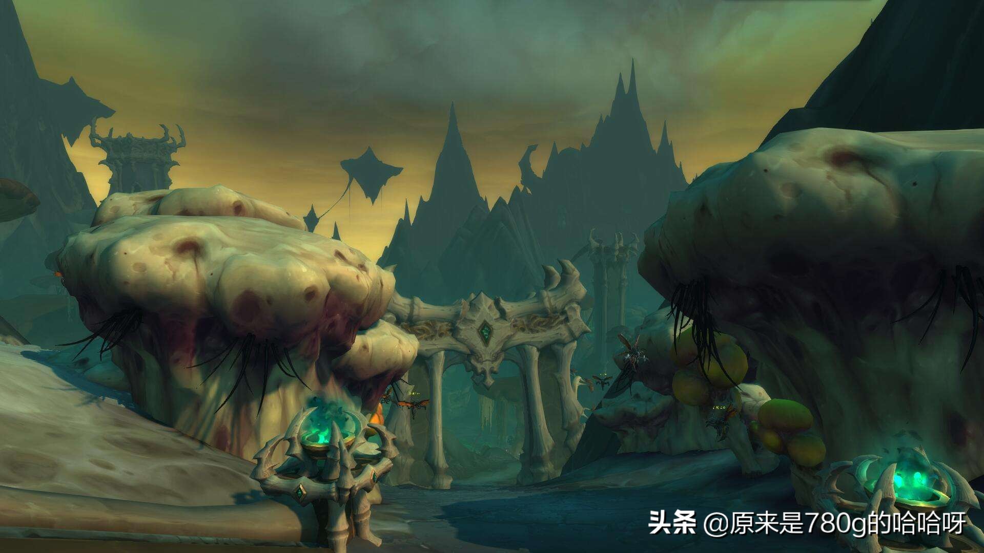 魔兽世界游戏账号怎么购买 什么地方可以购买魔兽世界游戏账号
