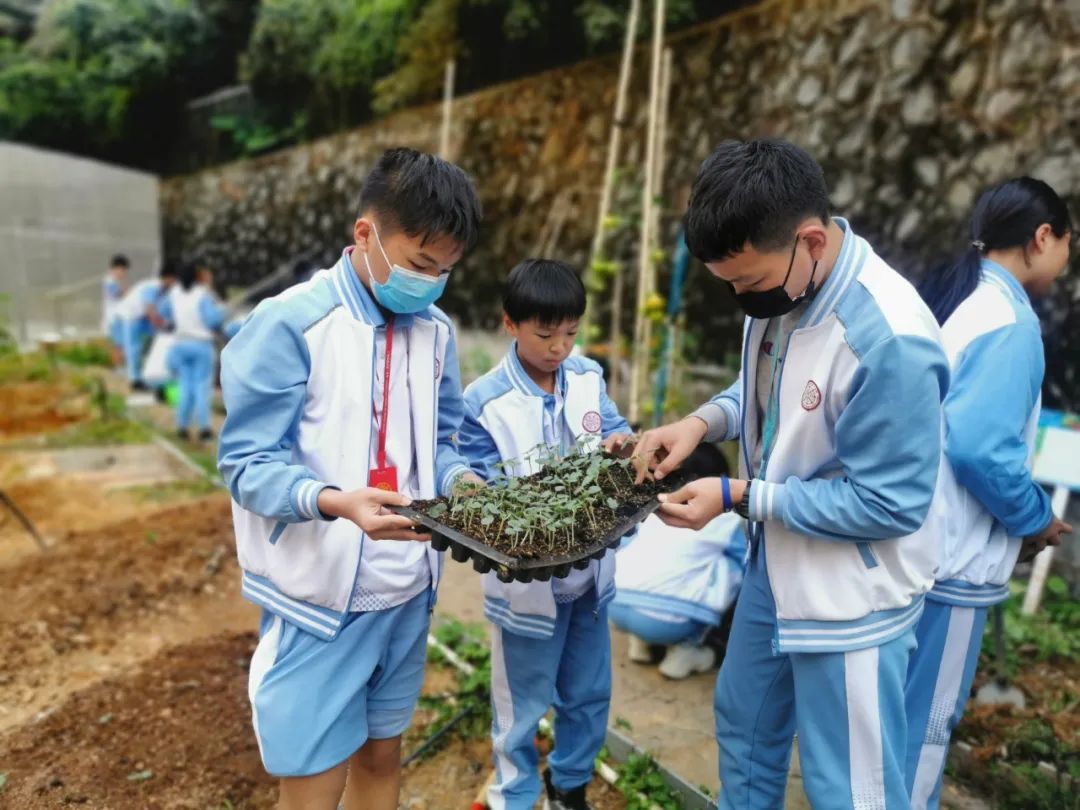 廣州市南沙第一中學(xué)：我在豐澤東路的日子(圖34)