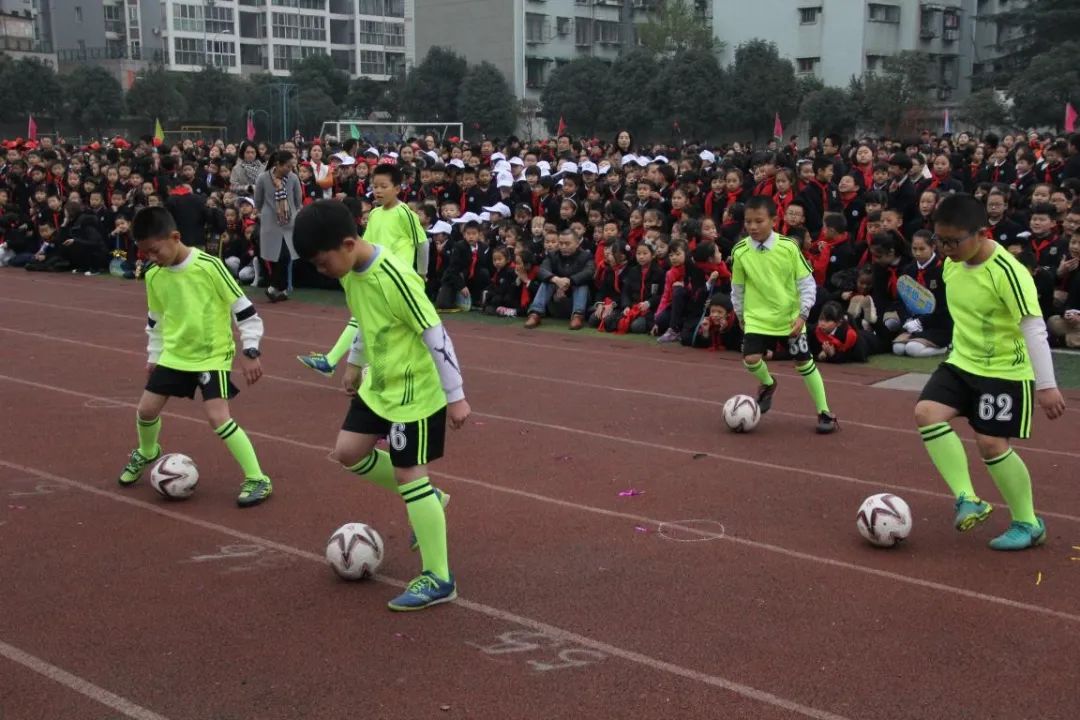双减不简 综合实践 |双流区棠湖小学综合实践活动课程系列报道
