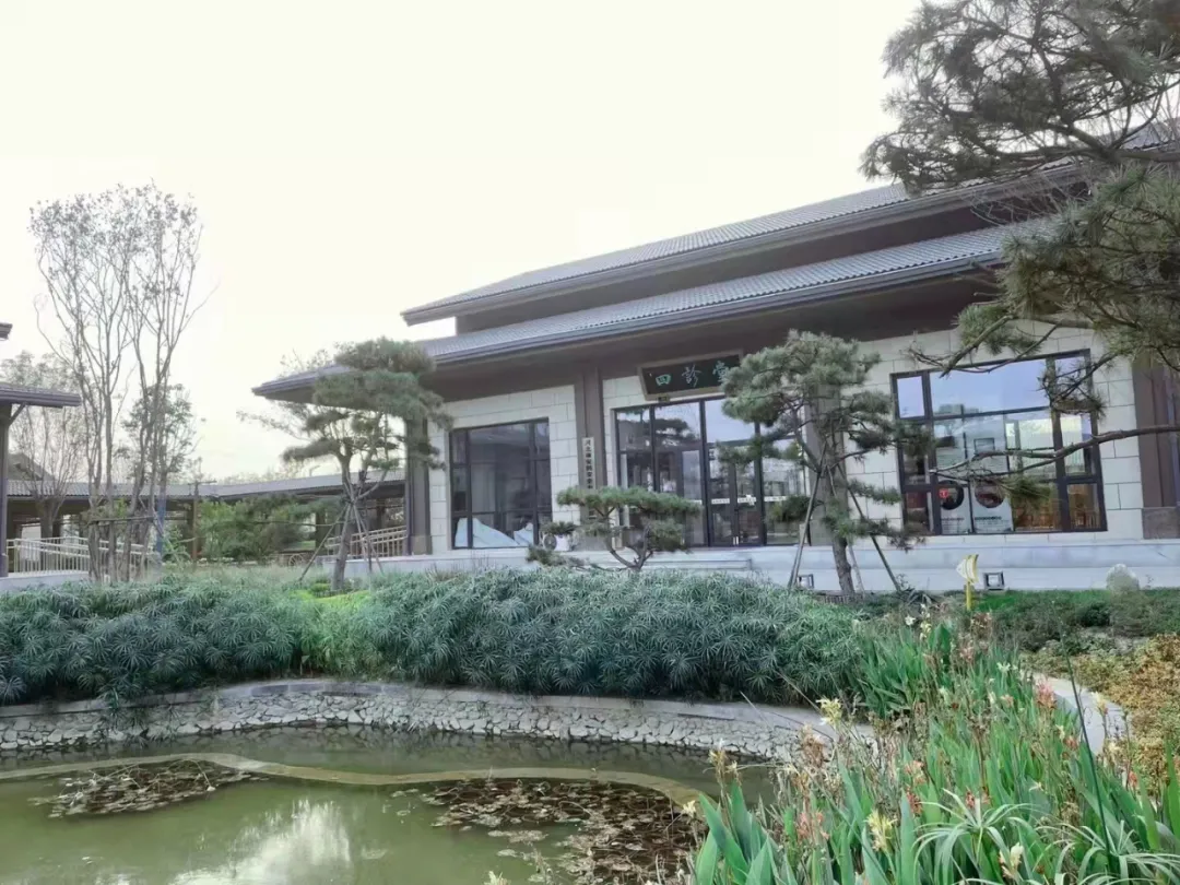 赓续中医药文化，造福咱百姓健康 在提升再进步再出发