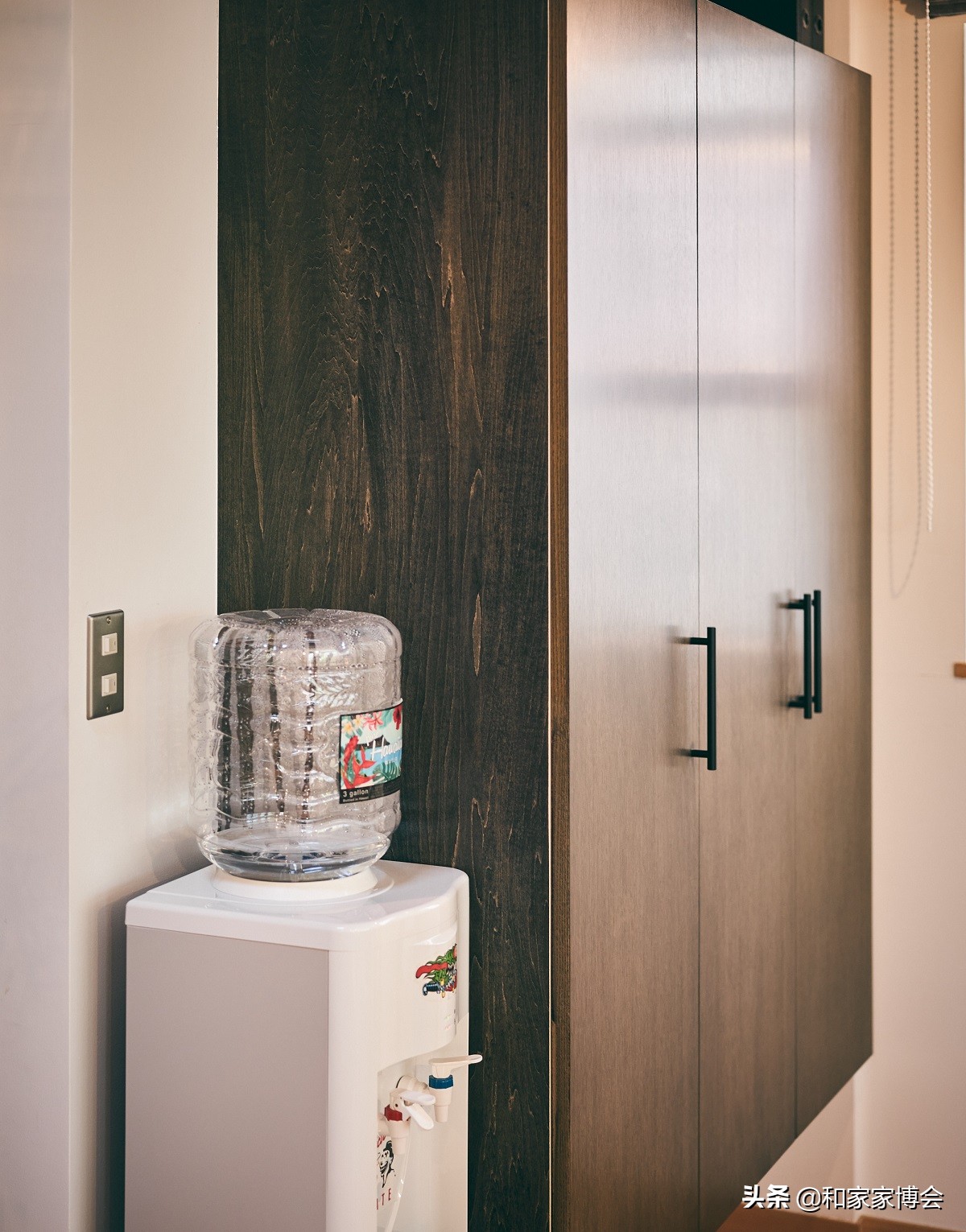 绿色植物助力“邻里关系”| 美式风格的老房翻新装修