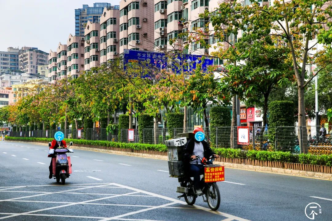 深圳这个不起眼的城中村，盛产学霸？