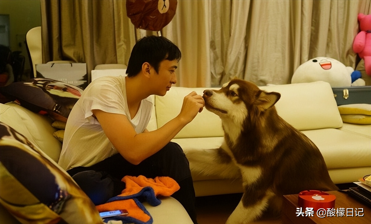 赵本山儿子花260万买狗不算什么，看看世界上最有钱的狗身价20亿