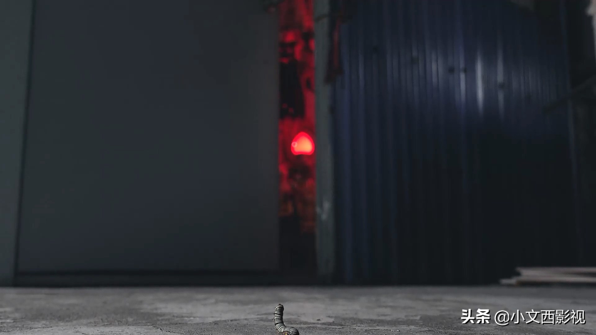 《咒》看完了吗，爆肝加急出稿，这绝对是一部细思极恐的恐怖佳作