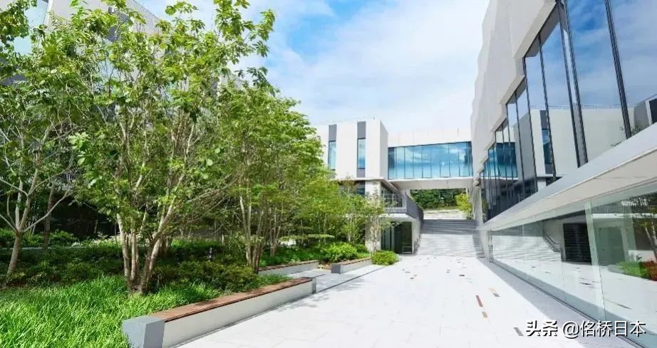 日本著名音乐大学盘点（附出愿条件）