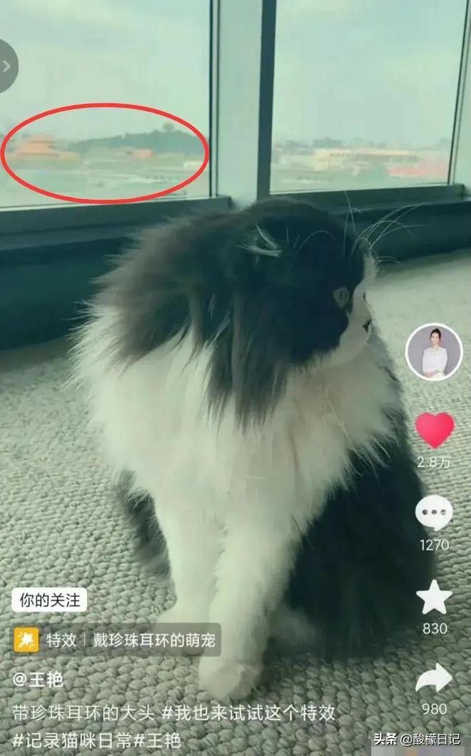 6位女星的上亿豪宅，李小冉8.5亿豪宅内养花，一个比一个奢侈