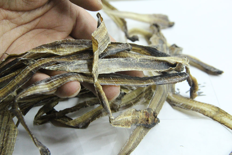 幾味中藥緩解行動障礙，中醫調養腦出血後遺症就看這一方