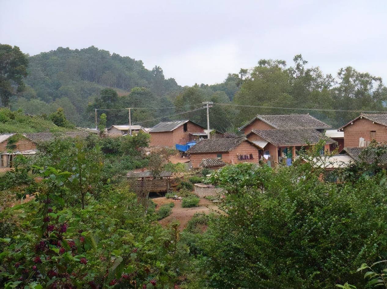 2012年河北农民“锯腿求生”：击垮一个普通家庭，只需要一场大病