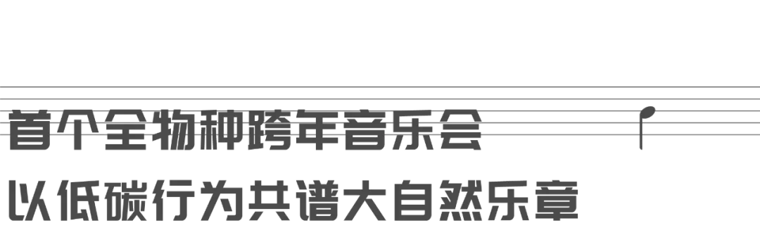 被“首个全物种跨年音乐会”戳到了