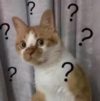 2021年度大火的“元宇宙”，到底是什么？