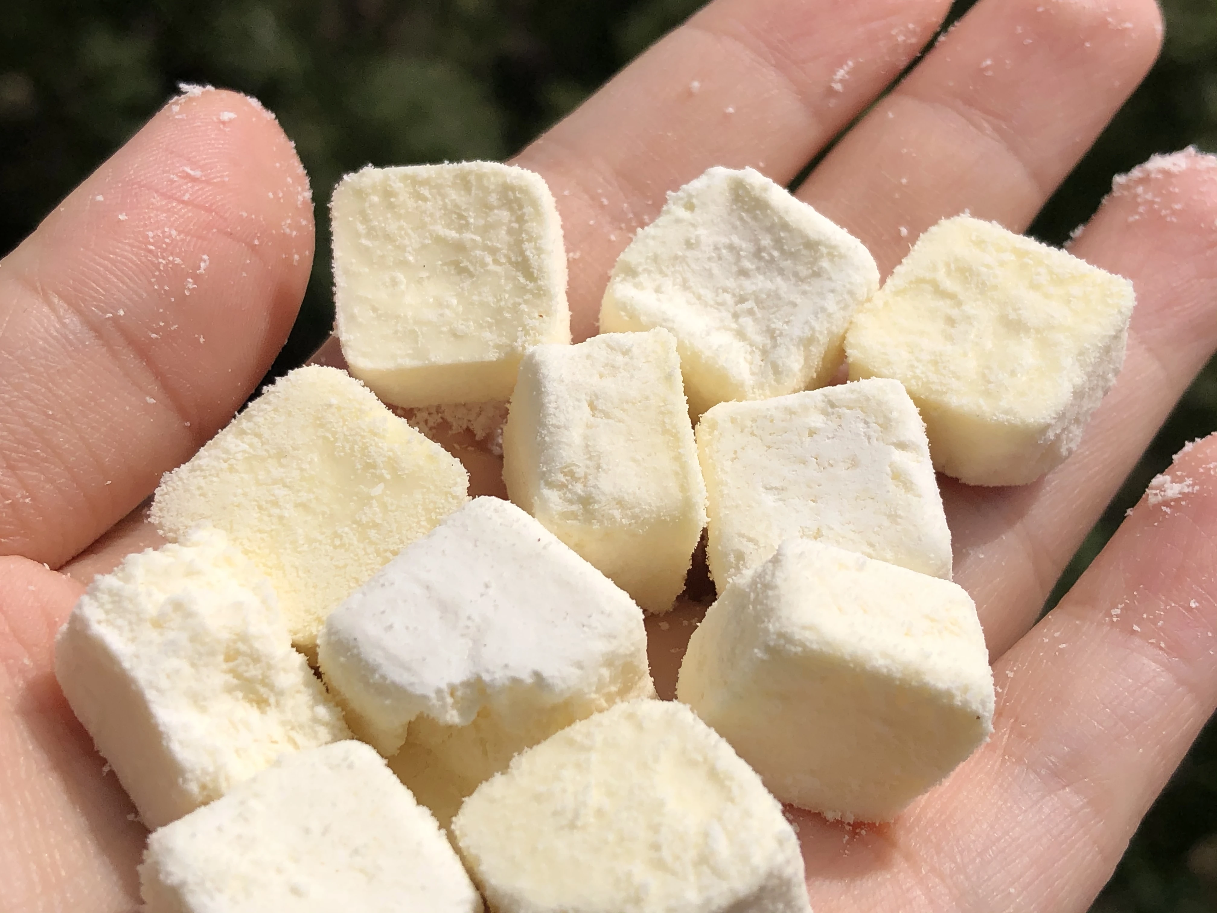 辰颐物语高钙高蛋白冻干奶酪块来啦熊出没系列