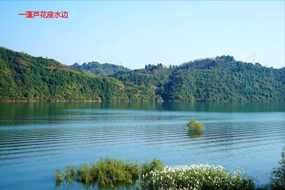 五律六首 芳草连天碧，梨花带雨生