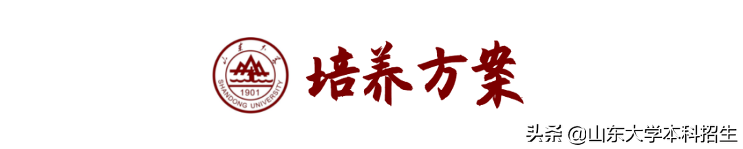 山东大学2022年强基计划招生简章