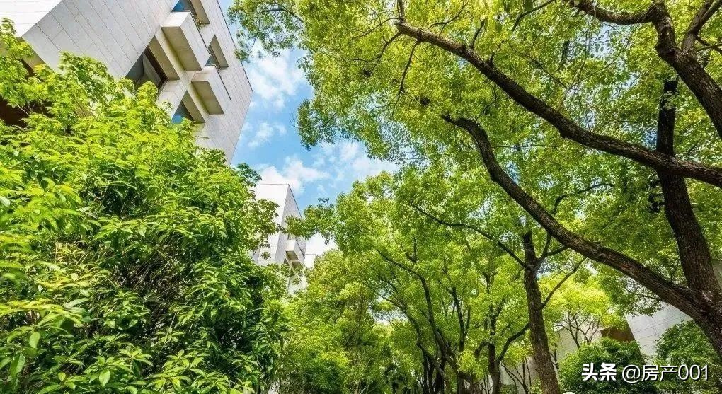 高端豪宅：静安区叠加别墅「大宁揽翠艺墅」约260㎡,总价3124万起