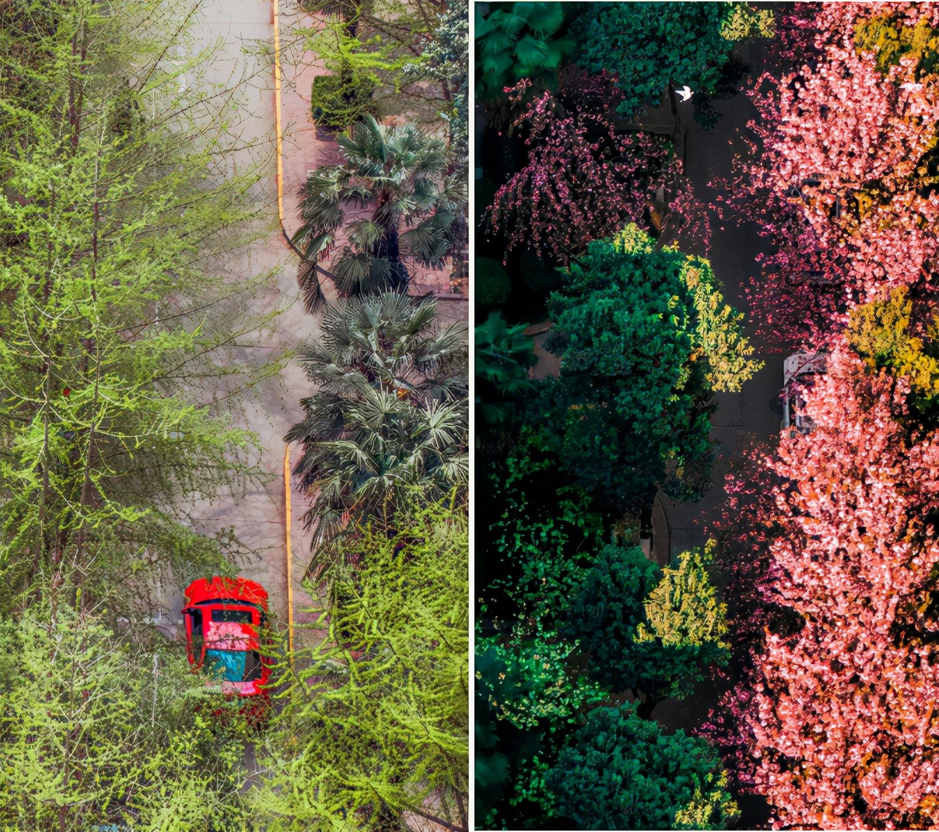 高颜值！陕西这所高校位于特大城市，占地4300亩！网友：风景绝美