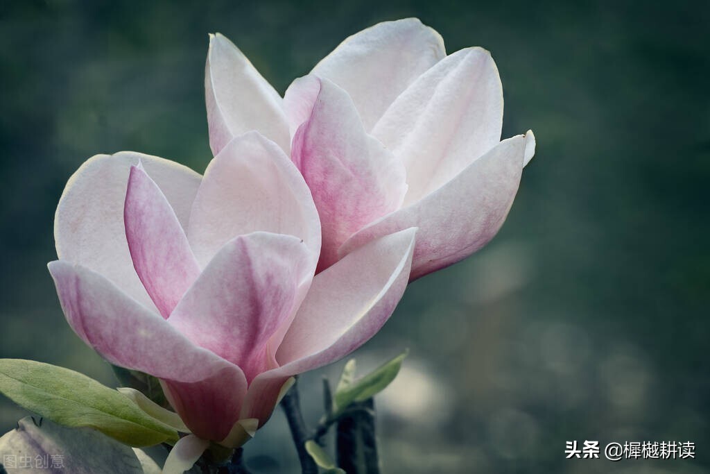 这十个句子，写尽人生悲欢