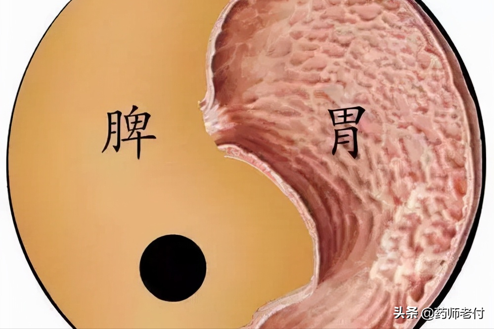 养肾就是养命根，这里告诉你关于养肾的最全知识，建议收藏