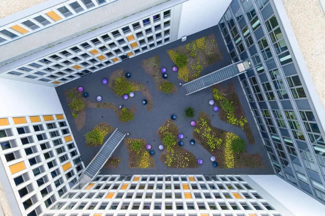 校园景观 | 激活校园空间，塑造“场所精神”