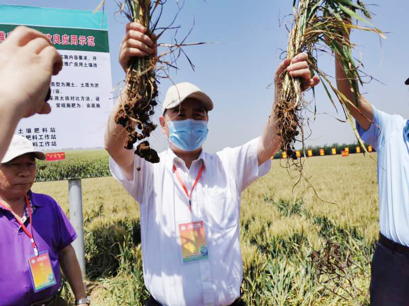 高標準農田建設和耕地質量保護與提升的關系