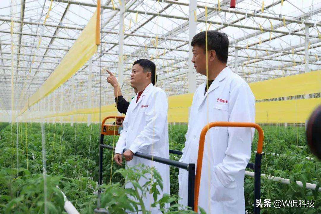 时隔一年，人民日报再次“点名”阿里巴巴，还马云“清白”