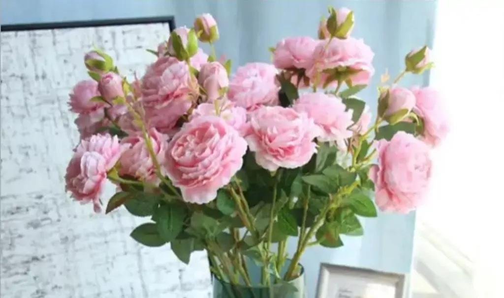 《增广贤文》中有关处世态度的10句话