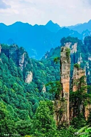 七律5首 张家界