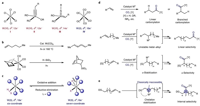 Nat. Chem.：低价钨氧化还原实现烯烃的异构化-羰基化串联反应