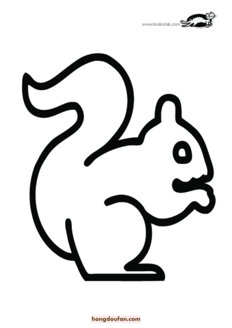 蜗牛小狗考拉小鱼蝴蝶小鸡卡通简笔画