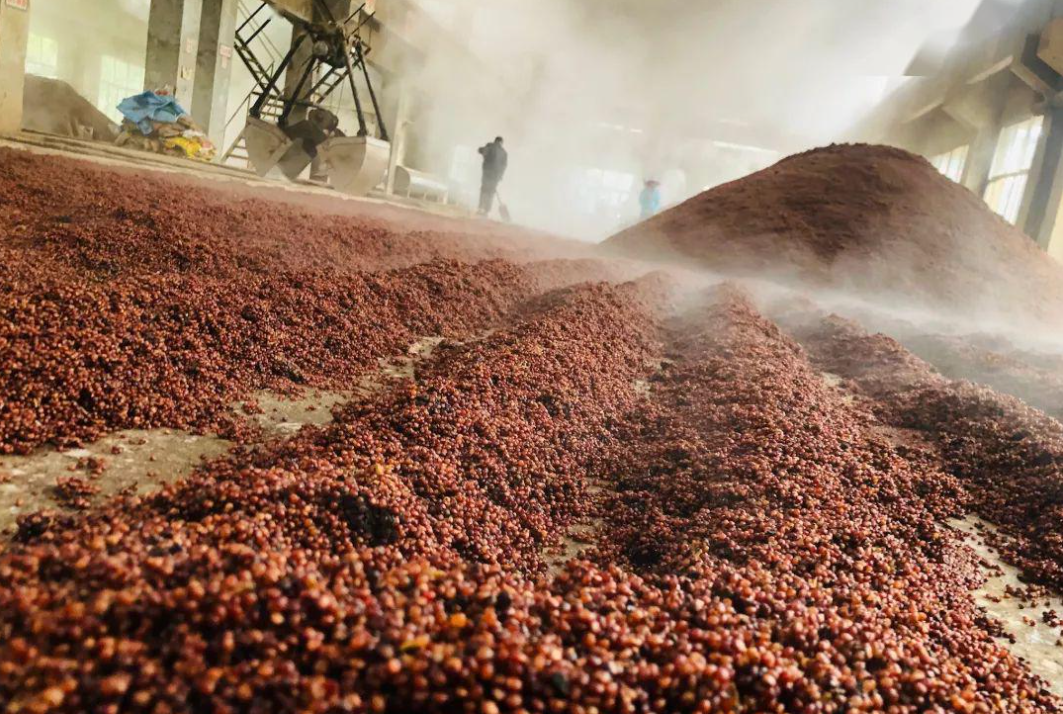 茅台号称"五斤粮食出一斤酒",酒糟都去哪了?酿一斤要多少钱?