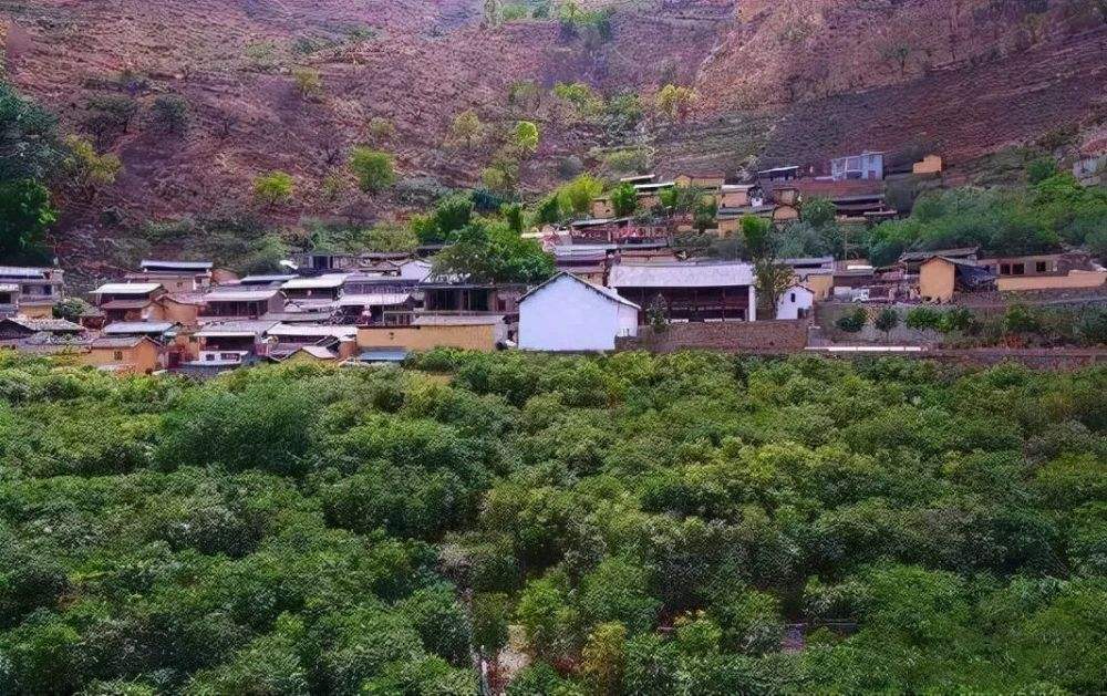 云南夫妻三年成当地首富，引起警方怀疑，跟踪调查后全家被逮捕