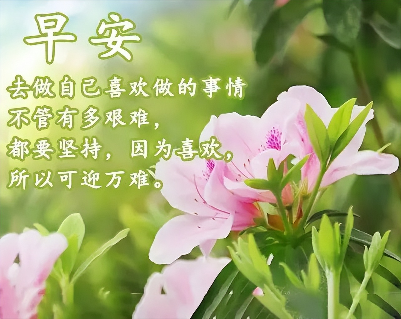 05.17」早安心语,清晨正能量最棒励志话语 早上好问候图片
