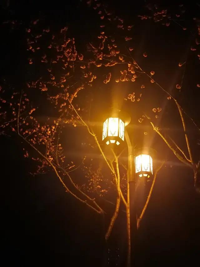 想学医救死扶伤有多难！医药圈的大神请留步进来给支个招