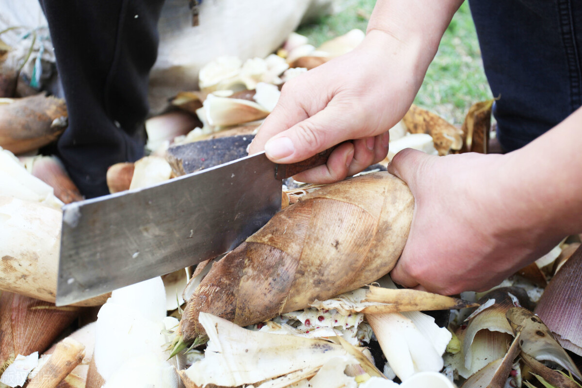 冬笋的价格上市一个月产地仍卖10元一斤