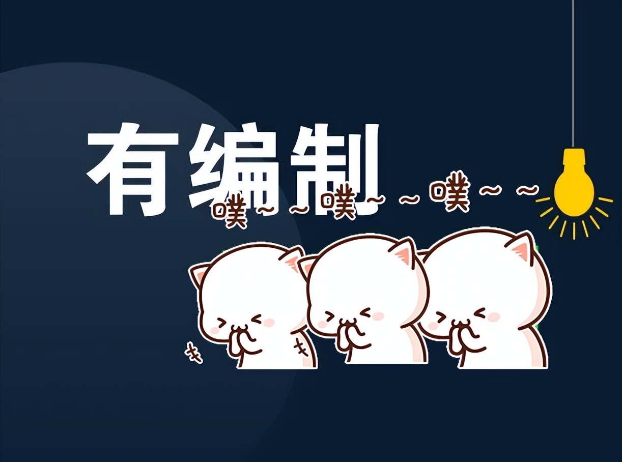 事业单位“教师”公开招聘，有编制不限制专业，本科就可以报考