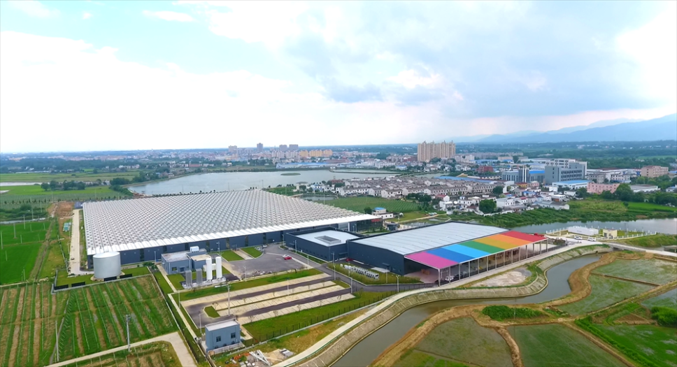 桐城：“两强一增”行动给力乡村全面振兴