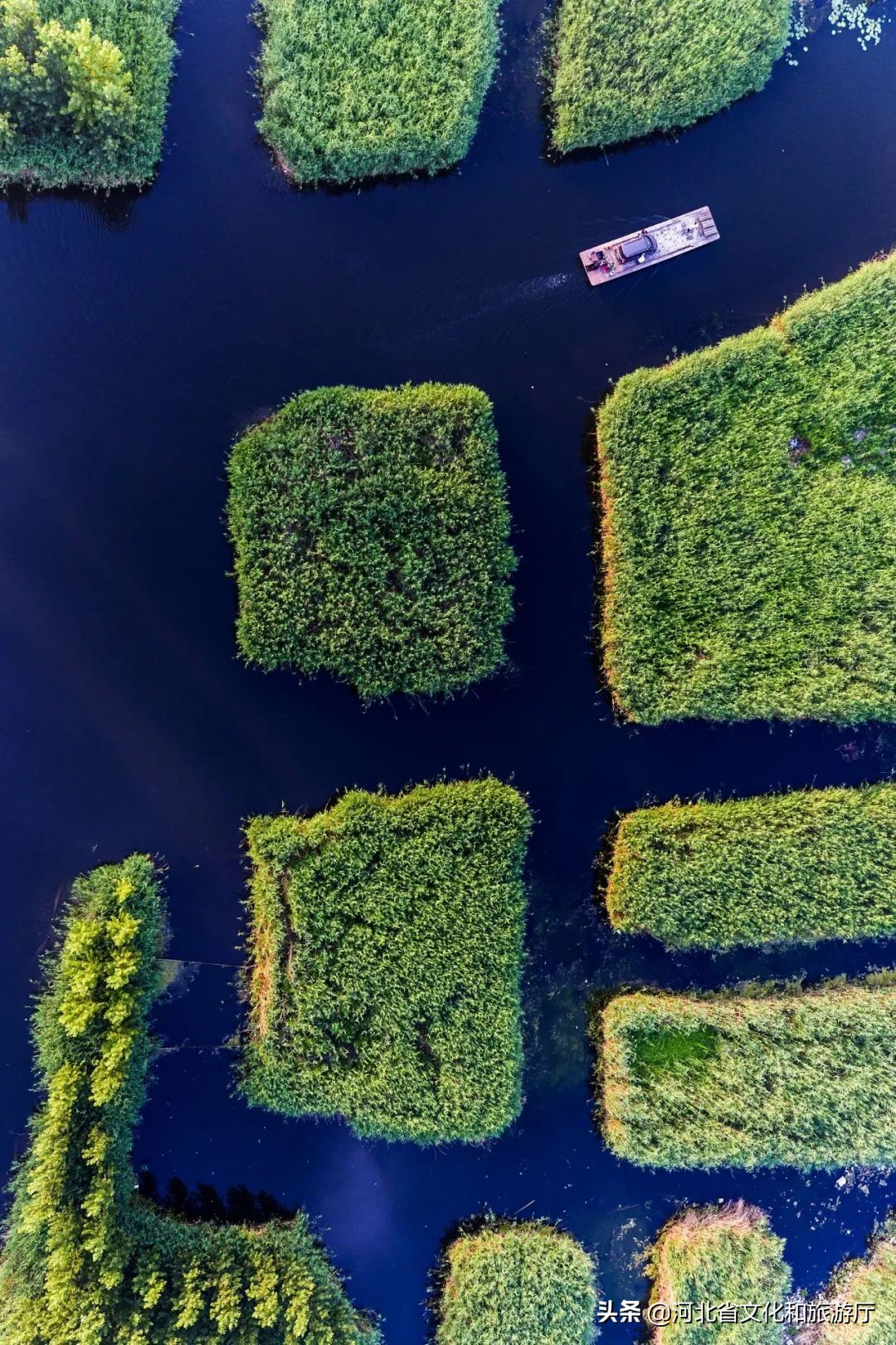 河北的“驴火之城”，含金量到底有多高？