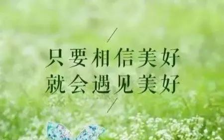 树茂发于根，人胜壮在德；根乃树之基，德乃人之本